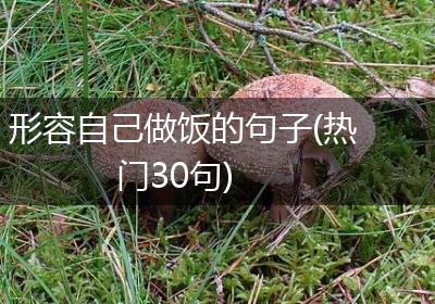 形容自己做饭的句子(热门30句)