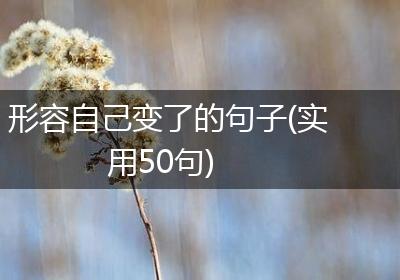 形容自己变了的句子(实用50句)