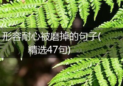 形容耐心被磨掉的句子(精选47句)