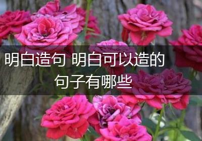明白造句 明白可以造的句子有哪些