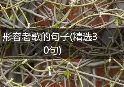 形容老歌的句子(精选30句)