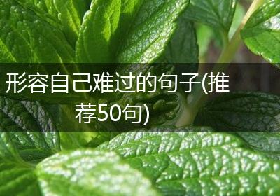 形容自己难过的句子(推荐50句)