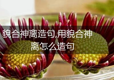 貌合神离造句,用貌合神离怎么造句