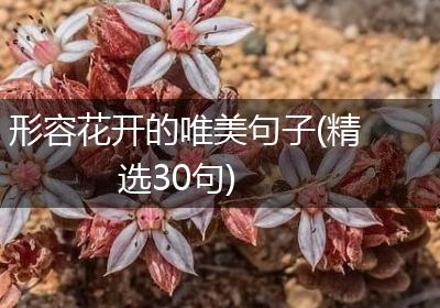形容花开的唯美句子(精选30句)