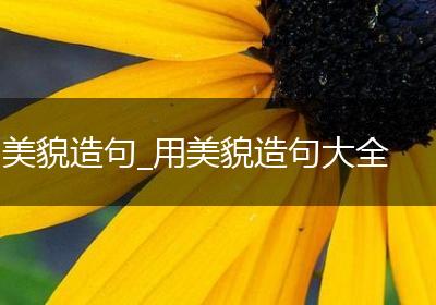 美貌造句_用美貌造句大全
