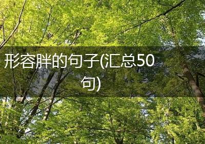 形容胖的句子(汇总50句)