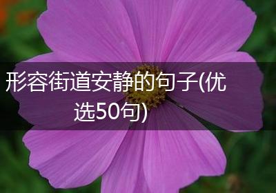 形容街道安静的句子(优选50句)
