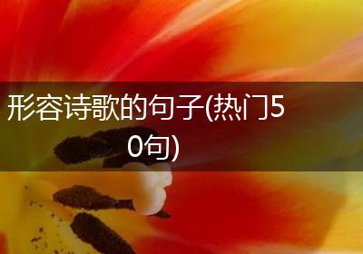 形容诗歌的句子(热门50句)