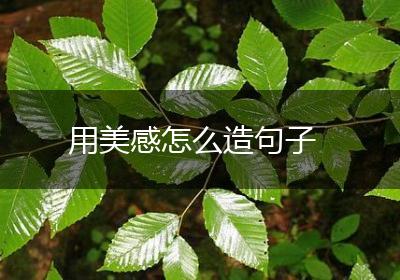 用美感怎么造句子