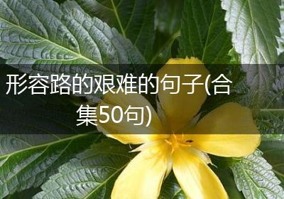 形容路的艰难的句子(合集50句)