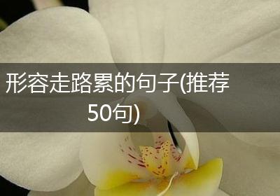 形容走路累的句子(推荐50句)