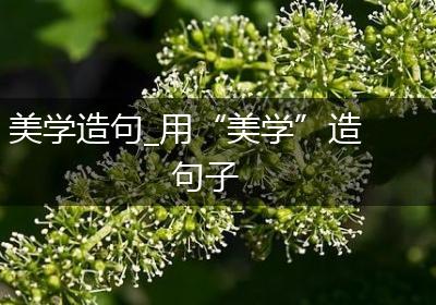 美学造句_用“美学”造句子