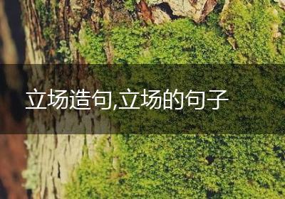 立场造句,立场的句子