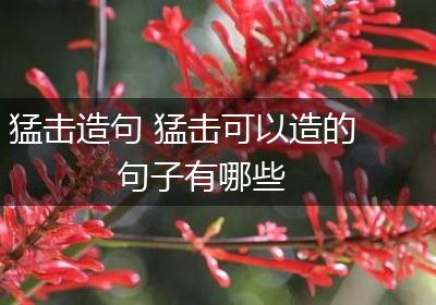 猛击造句 猛击可以造的句子有哪些