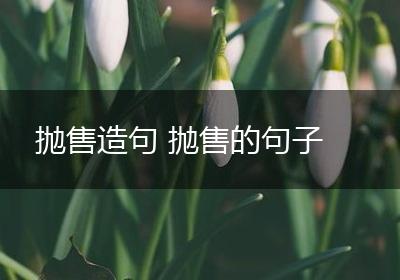 抛售造句 抛售的句子