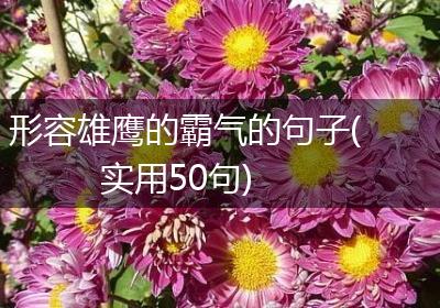 形容雄鹰的霸气的句子(实用50句)