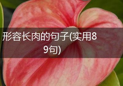 形容长肉的句子(实用89句)
