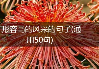 形容马的风采的句子(通用50句)