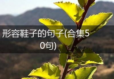形容鞋子的句子(合集50句)