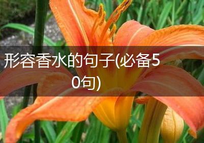 形容香水的句子(必备50句)