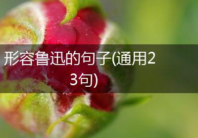 形容鲁迅的句子(通用23句)