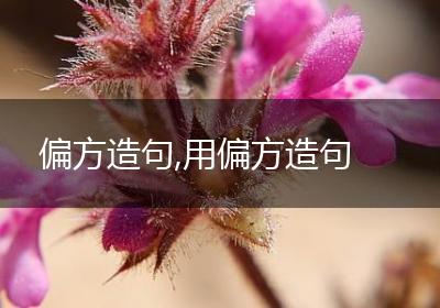 偏方造句,用偏方造句
