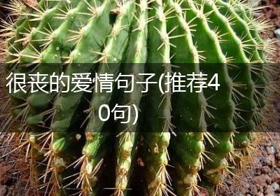 很丧的爱情句子(推荐40句)