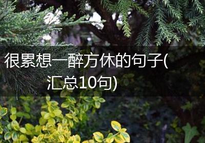 很累想一醉方休的句子(汇总10句)