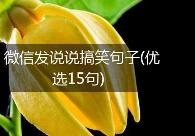 微信发说说搞笑句子(优选15句)