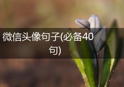 微信头像句子(必备40句)