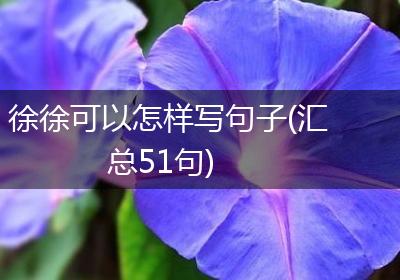 徐徐可以怎样写句子(汇总51句)