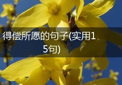 得偿所愿的句子(实用15句)
