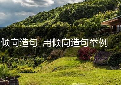 倾向造句_用倾向造句举例