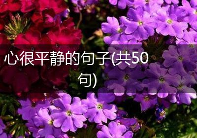 心很平静的句子(共50句)