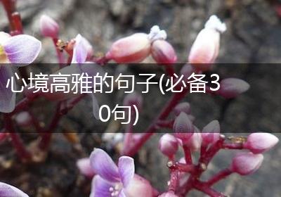 心境高雅的句子(必备30句)