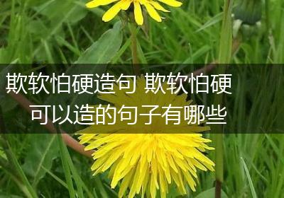 欺软怕硬造句 欺软怕硬可以造的句子有哪些