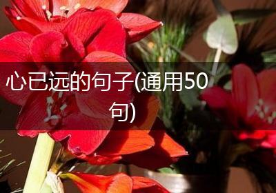 心已远的句子(通用50句)