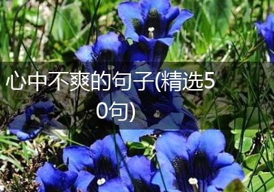 心中不爽的句子(精选50句)