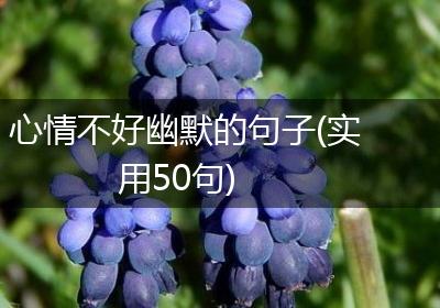 心情不好幽默的句子(实用50句)