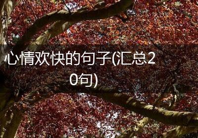 心情欢快的句子(汇总20句)