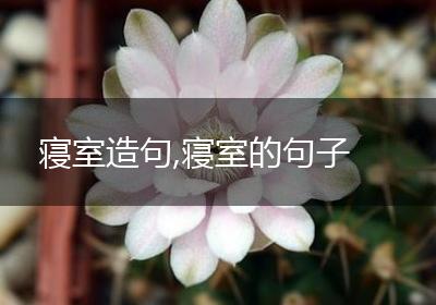 寝室造句,寝室的句子