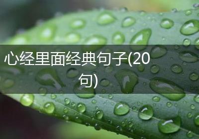 心经里面经典句子(20句)