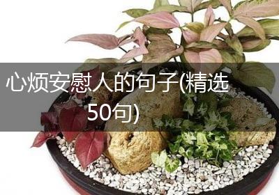 心烦安慰人的句子(精选50句)