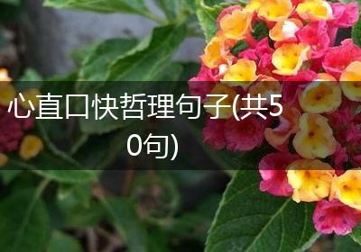 心直口快哲理句子(共50句)