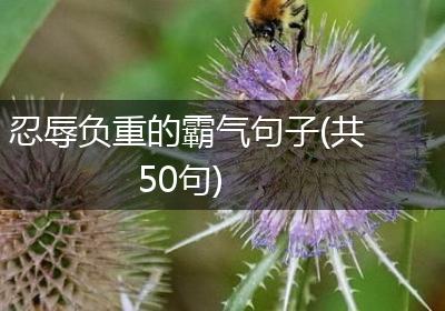 忍辱负重的霸气句子(共50句)