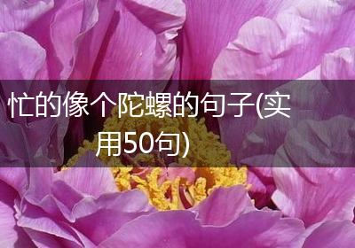 忙的像个陀螺的句子(实用50句)