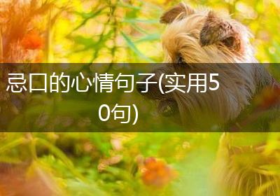 忌口的心情句子(实用50句)