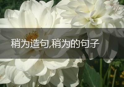 稍为造句,稍为的句子