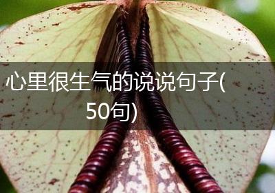 心里很生气的说说句子(50句)