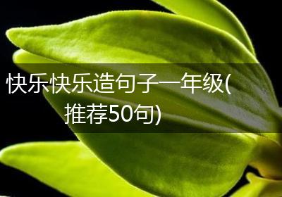 快乐快乐造句子一年级(推荐50句)